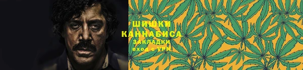 индика Горно-Алтайск
