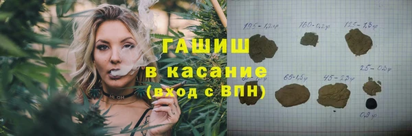 индика Горно-Алтайск