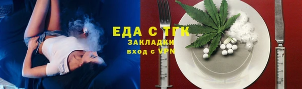 индика Горно-Алтайск