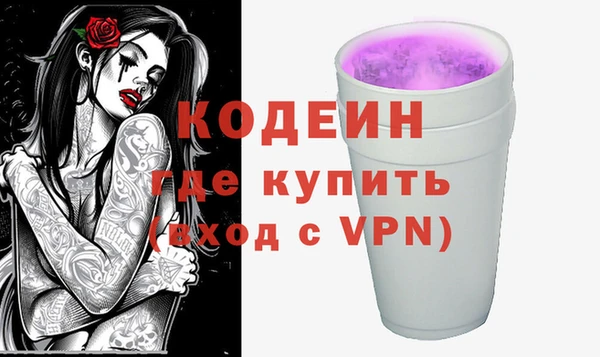 индика Горно-Алтайск