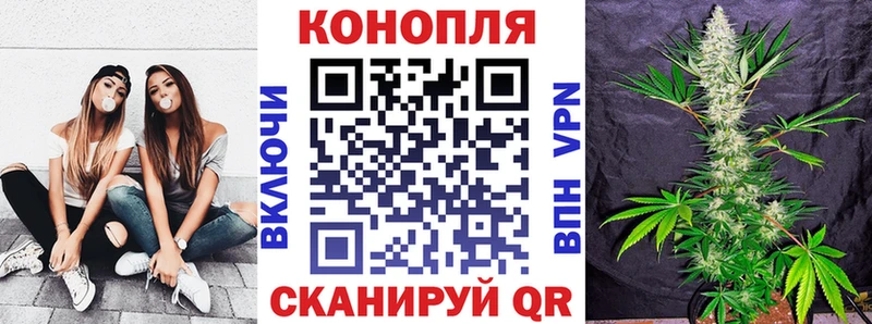 Каннабис White Widow  Купить где  Петушки 